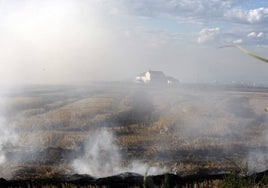 Quema de la paja del arroz en la Albufera.