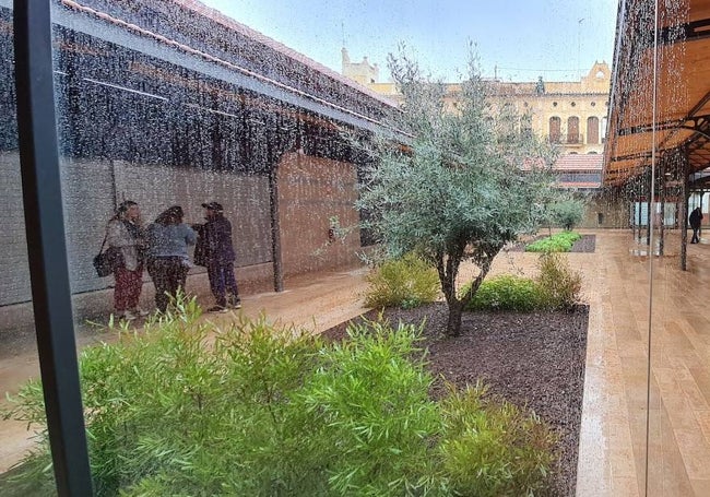 Interior del recinto, con una explanada con olivos, limoneros y plantas aromáticas.