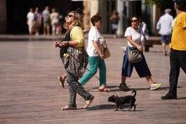 Varias personas pasean sus mascotas por las calles