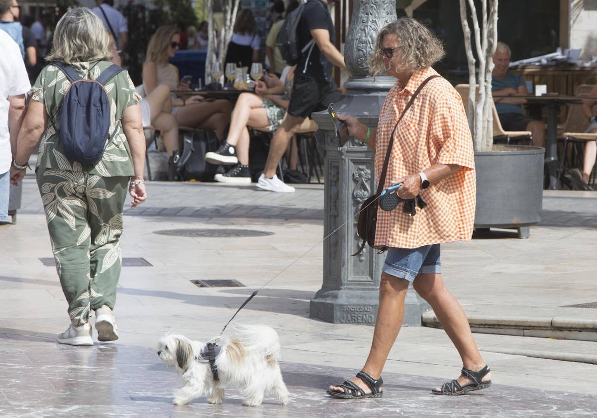 Piratas cibernéticos roban datos de propietarios de mascotas del registro de animales RIVIA