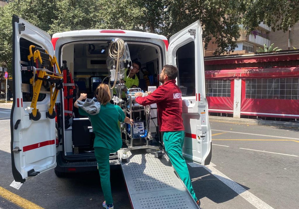 Dos sanitarios recogen un órgano que ha llegado para trasplantar en Valencia.