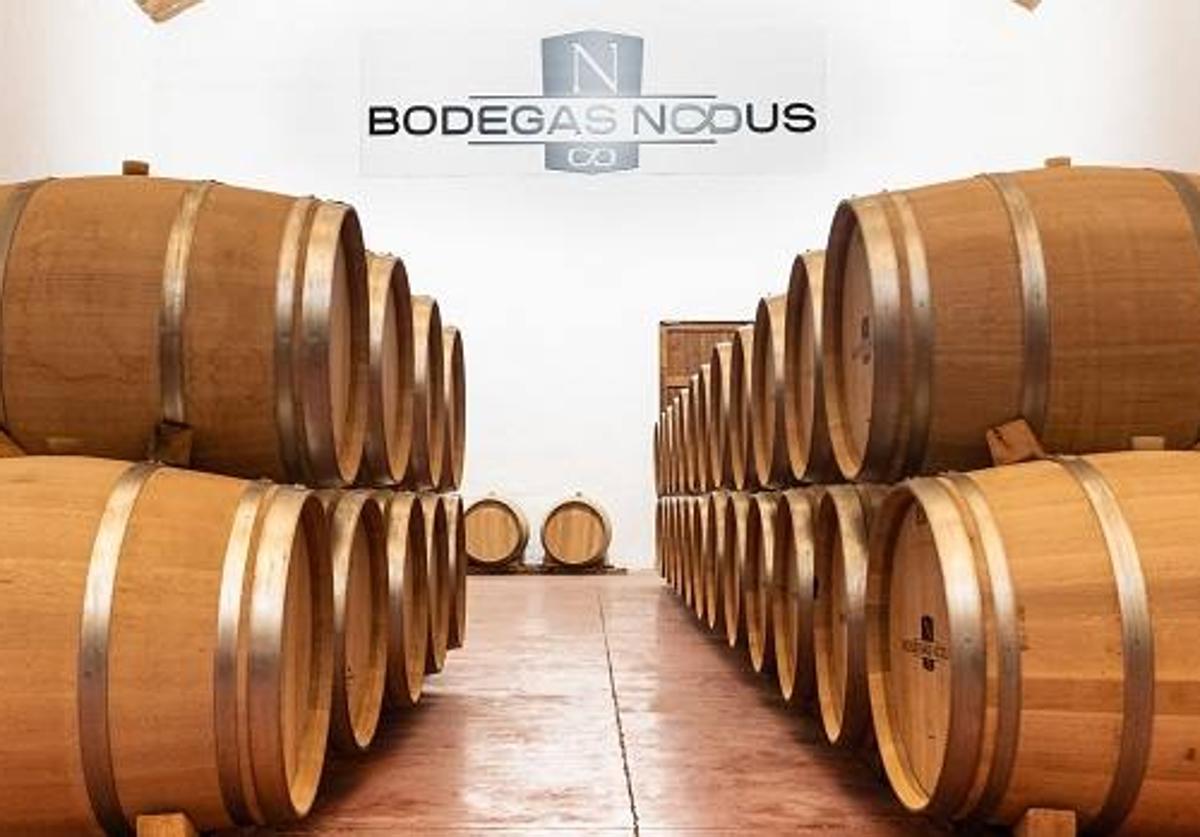 Sala barricas en Bodegas Nodus