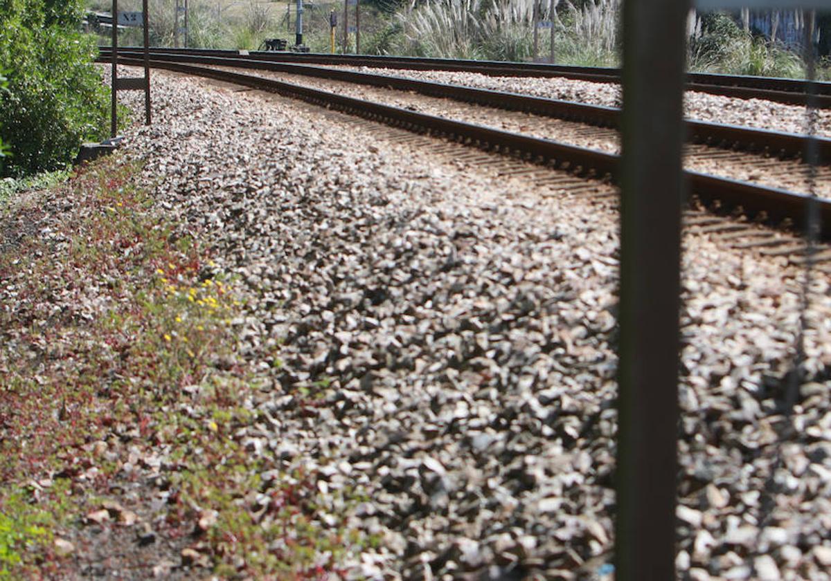 La circulación ferroviaria se ha suspendido hasta la retirada de las ovejas.