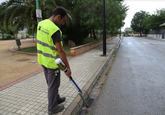 Un operario aplica larvicida en una alcantarilla.