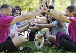 Un perro disfruta en un parque rodeado de personas.