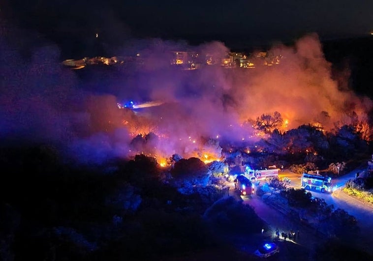 Incendio forestal intencionado, en la noche del miércoles, en la Devesa de El Saler.