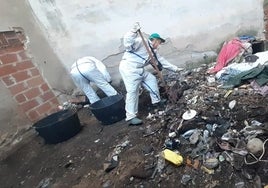 Acumulación de basura en un solar de Canals.