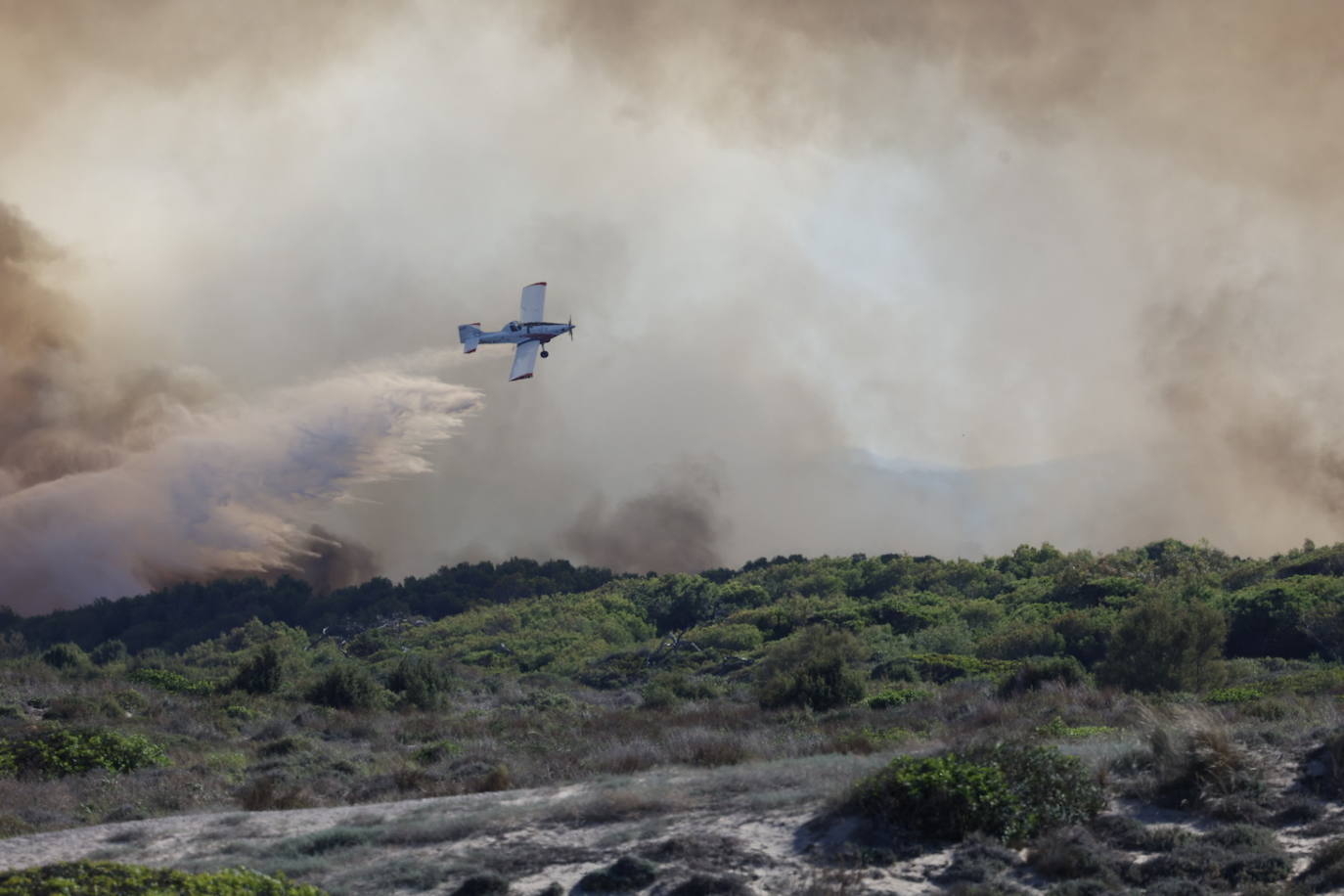 Declarado un nuevo incendio en El Saler, el segundo en menos de 24 horas