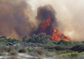 Imagen del incendio declarado esta tarde en El Saler.