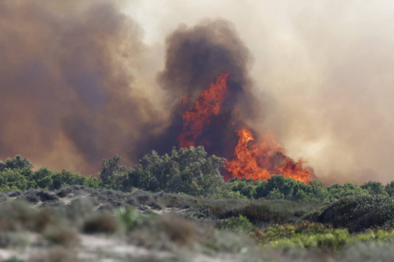 Declarado un nuevo incendio en El Saler, el segundo en menos de 24 horas