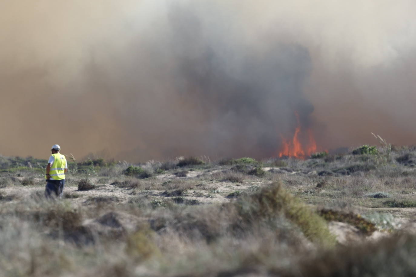 Declarado un nuevo incendio en El Saler, el segundo en menos de 24 horas