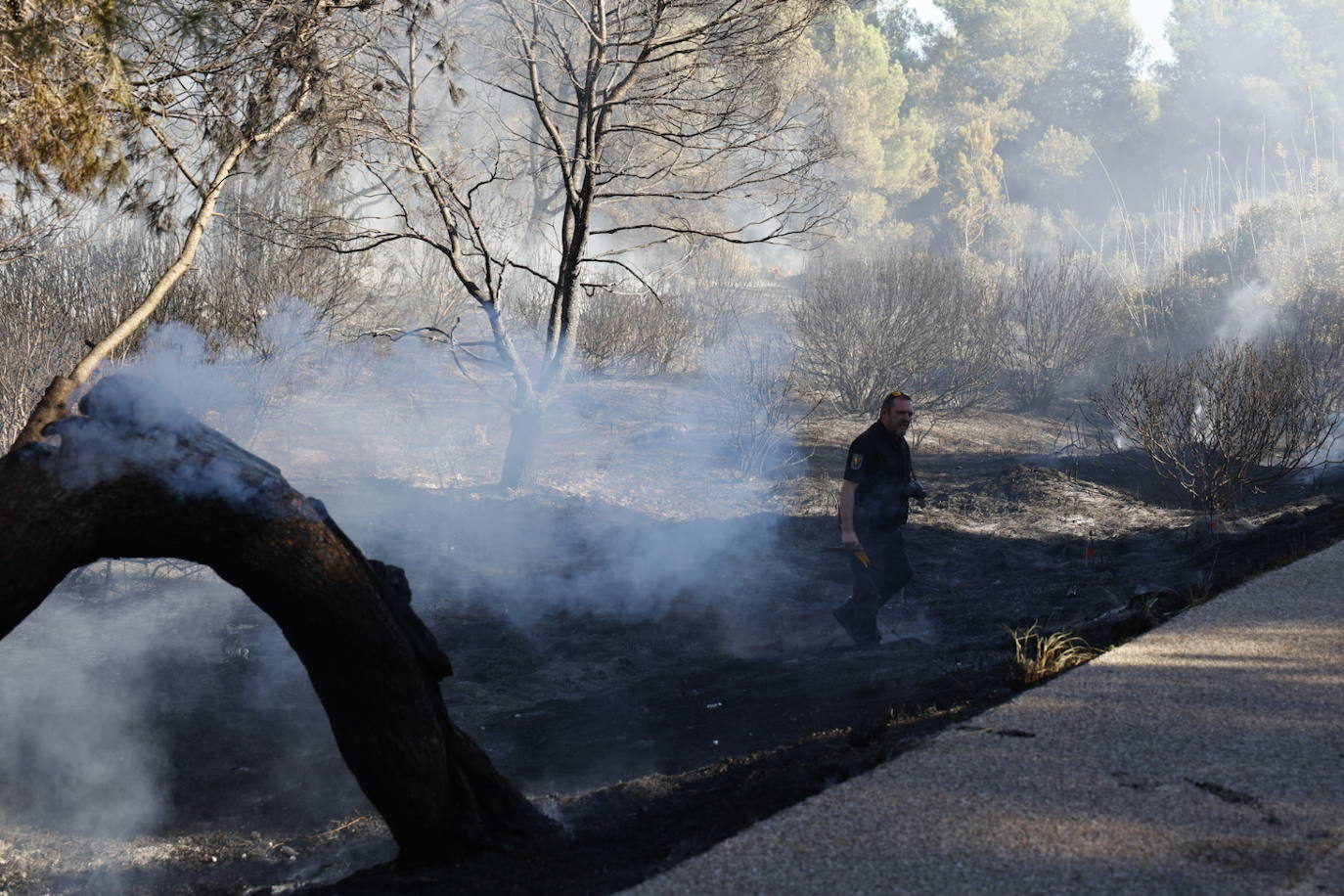 Declarado un nuevo incendio en El Saler, el segundo en menos de 24 horas