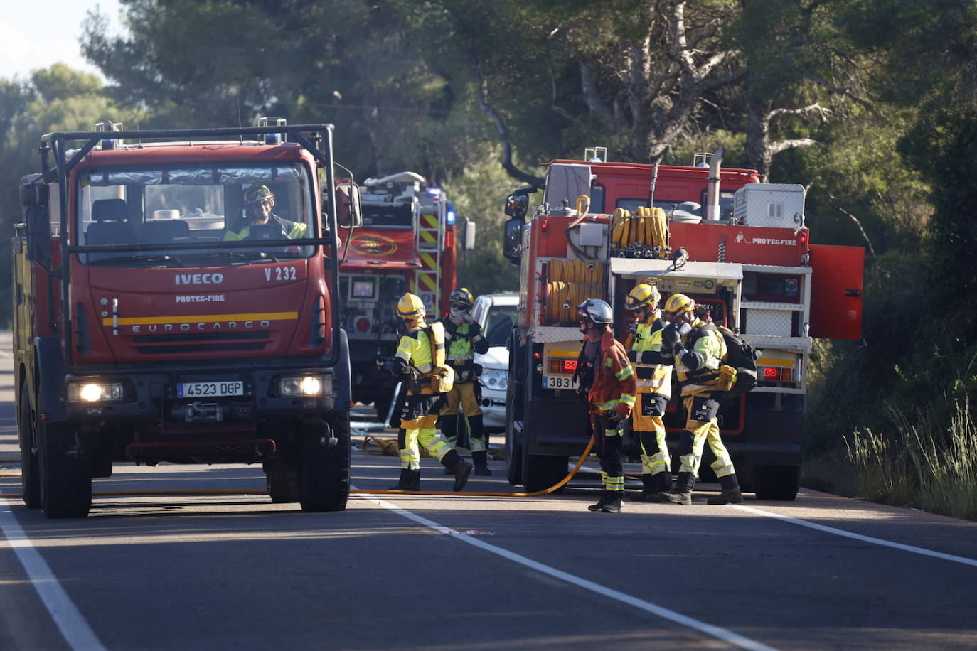 Declarado un nuevo incendio en El Saler, el segundo en menos de 24 horas