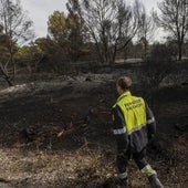 Así es el pirómano de El Saler: actúa solo, vive por la zona y emplea cócteles molotov