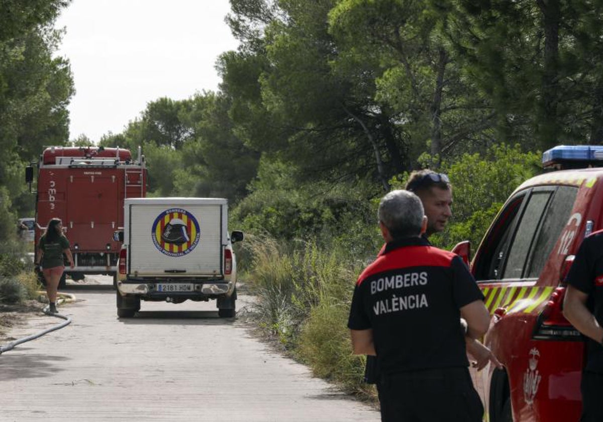 Efectivos de bomberos vigilan este lunes uno de los viales del parque.