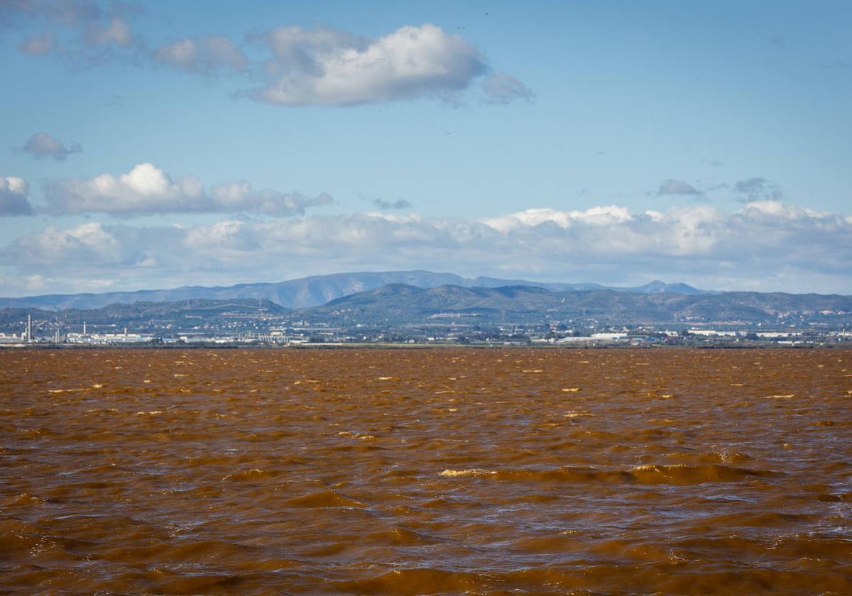 El agua de la Albufera de Valencia se vuelve marrón