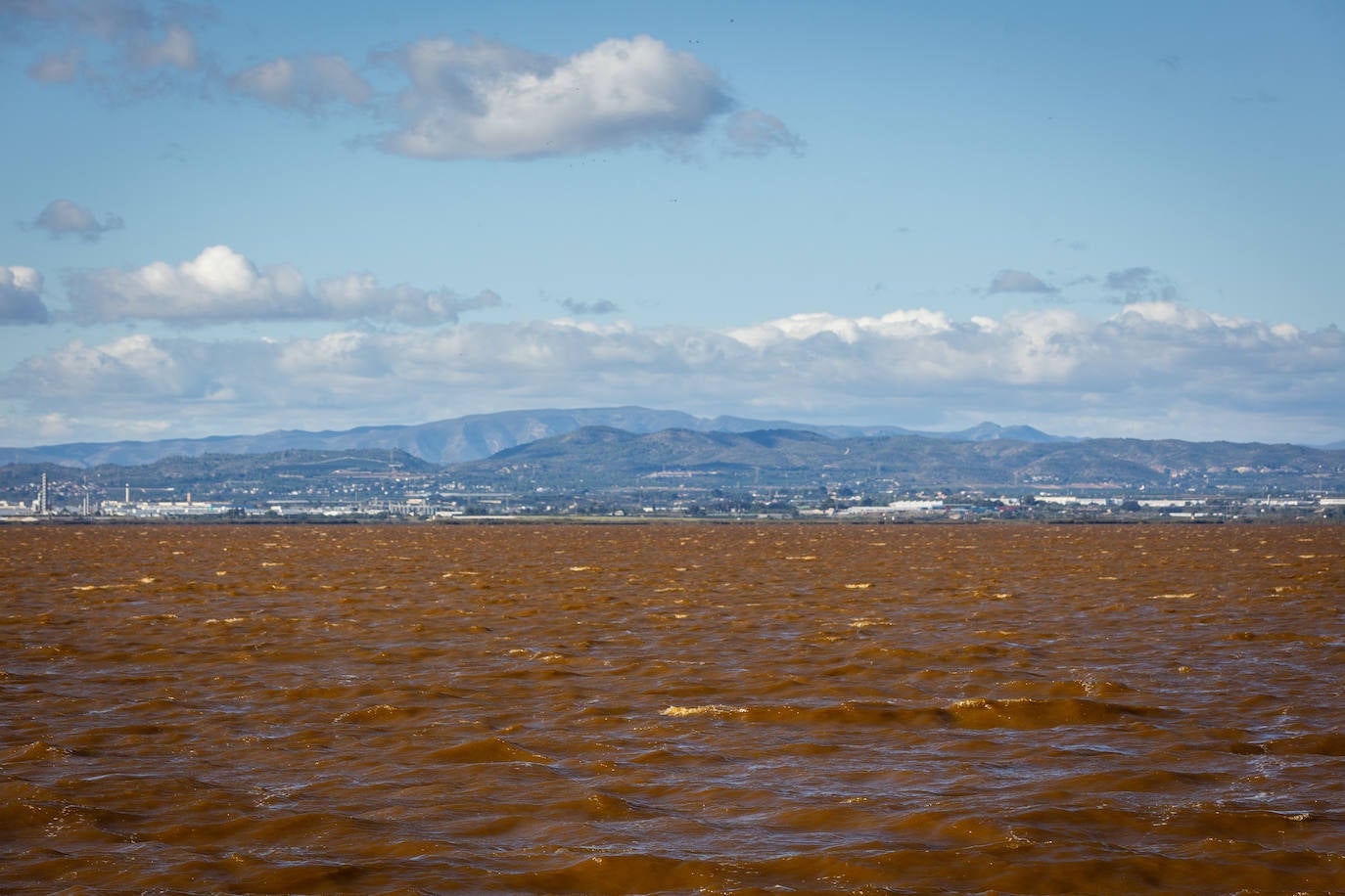 El agua de la Albufera de Valencia se vuelve marrón