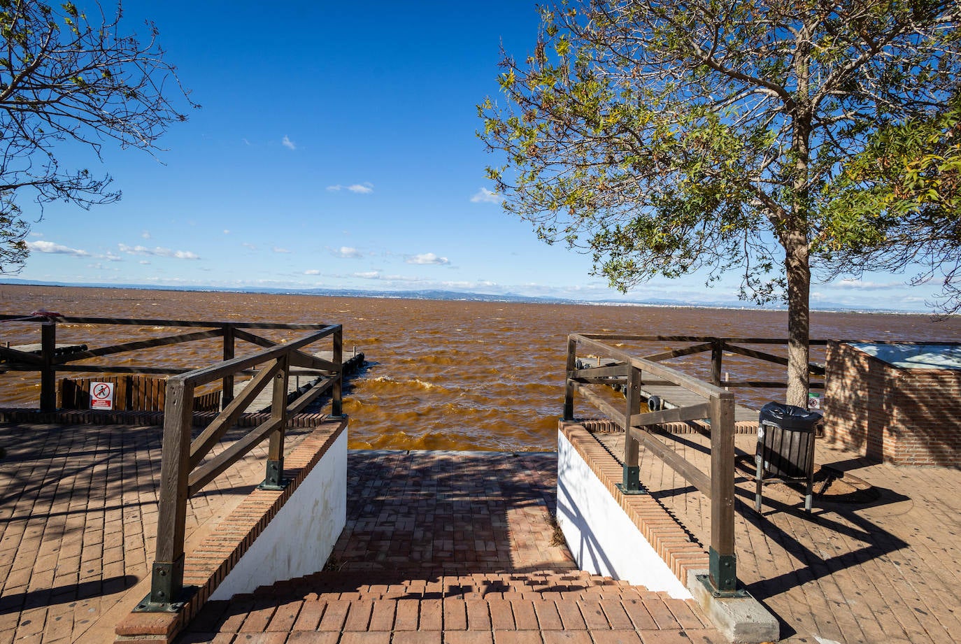 El agua de la Albufera de Valencia se vuelve marrón