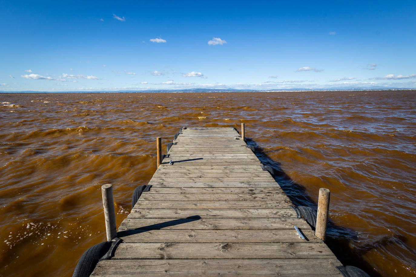 El agua de la Albufera de Valencia se vuelve marrón