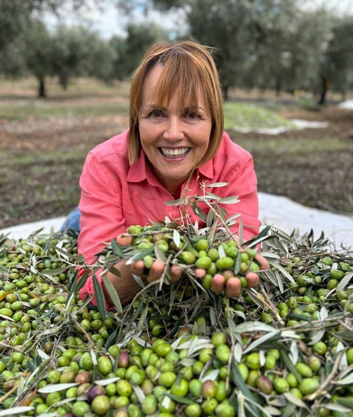 Imagen secundaria 2 - El restaurante Monastrell y María José San Román muestra aceitunas recién cosechadas en un campo toledano.