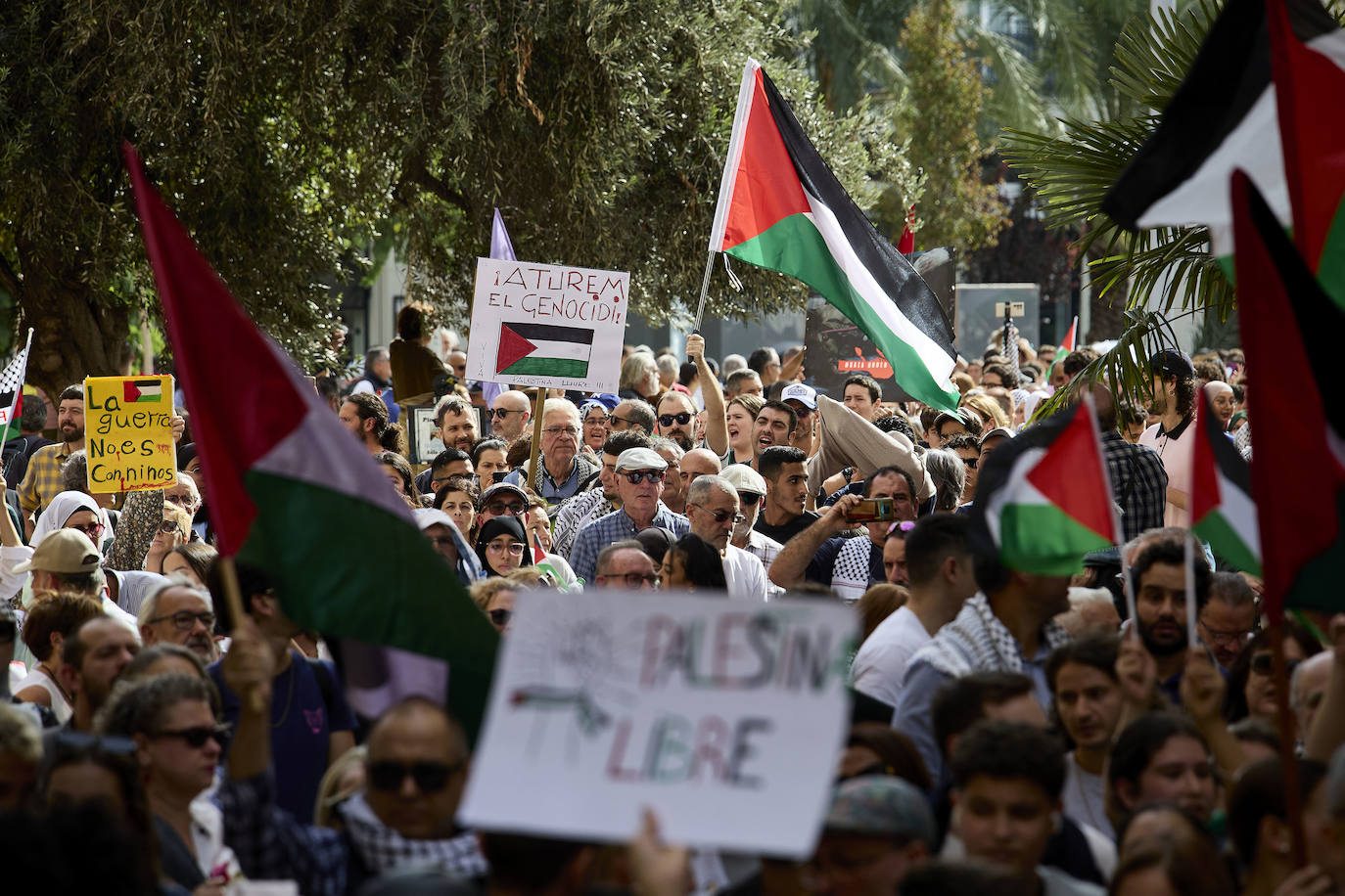 Miles de personas se manifestan en Valencia a favor de Palestina