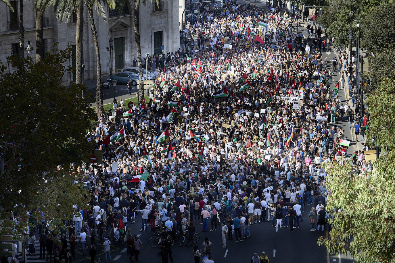 Miles de personas se manifestan en Valencia a favor de Palestina