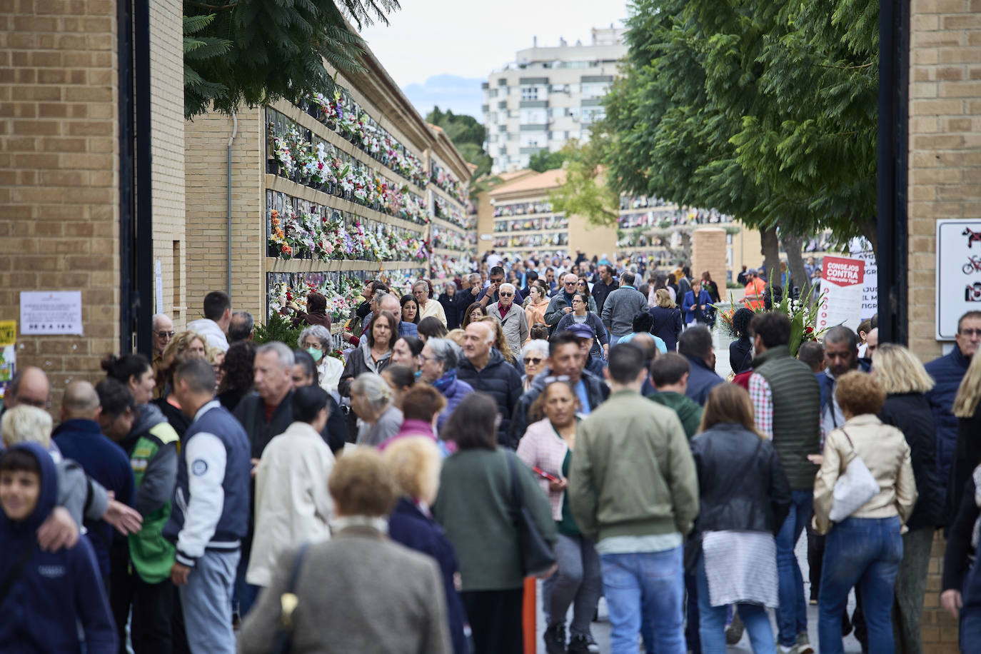 Masiva afluencia al cementerio de Valencia por Todos los Santos