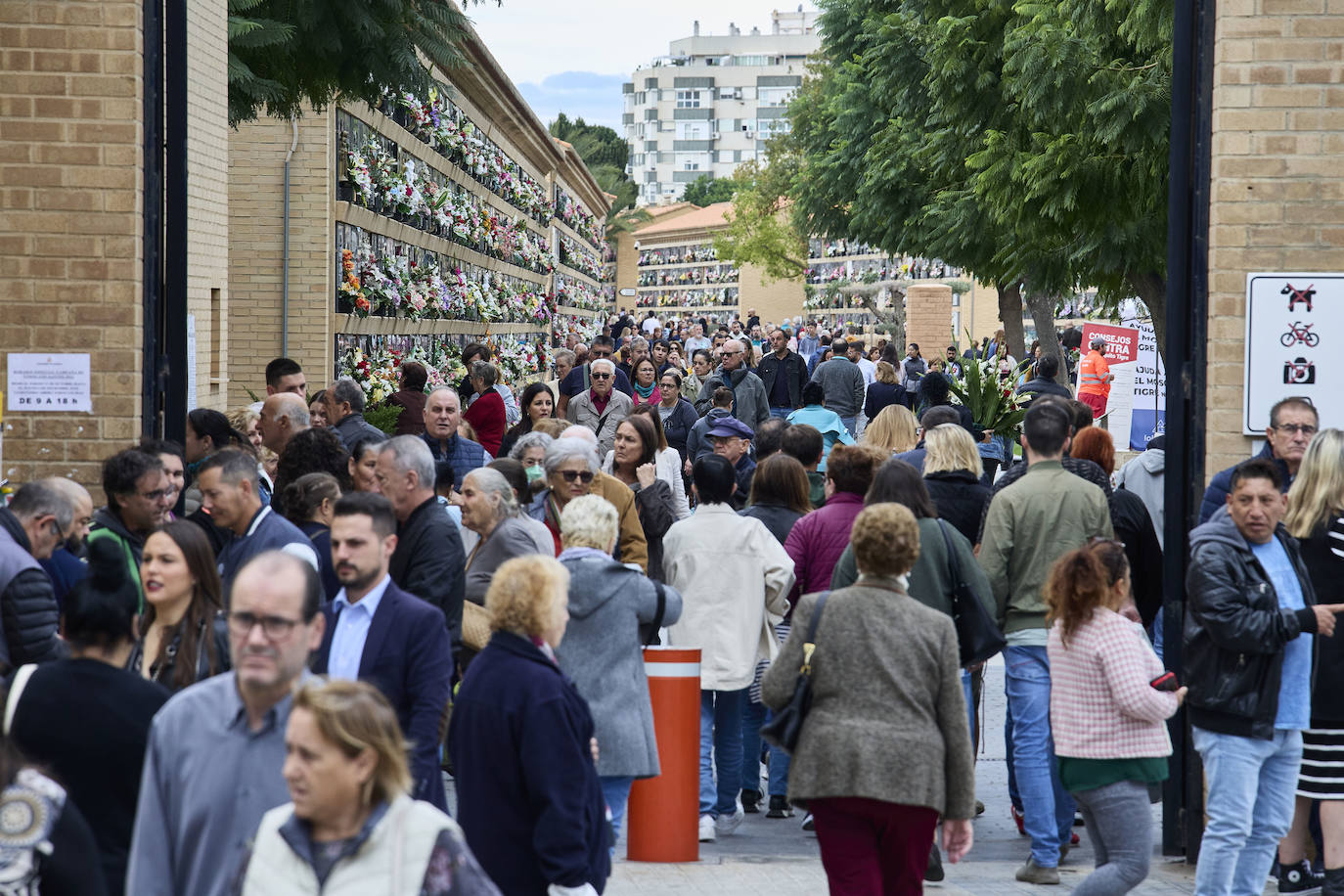 Masiva afluencia al cementerio de Valencia por Todos los Santos