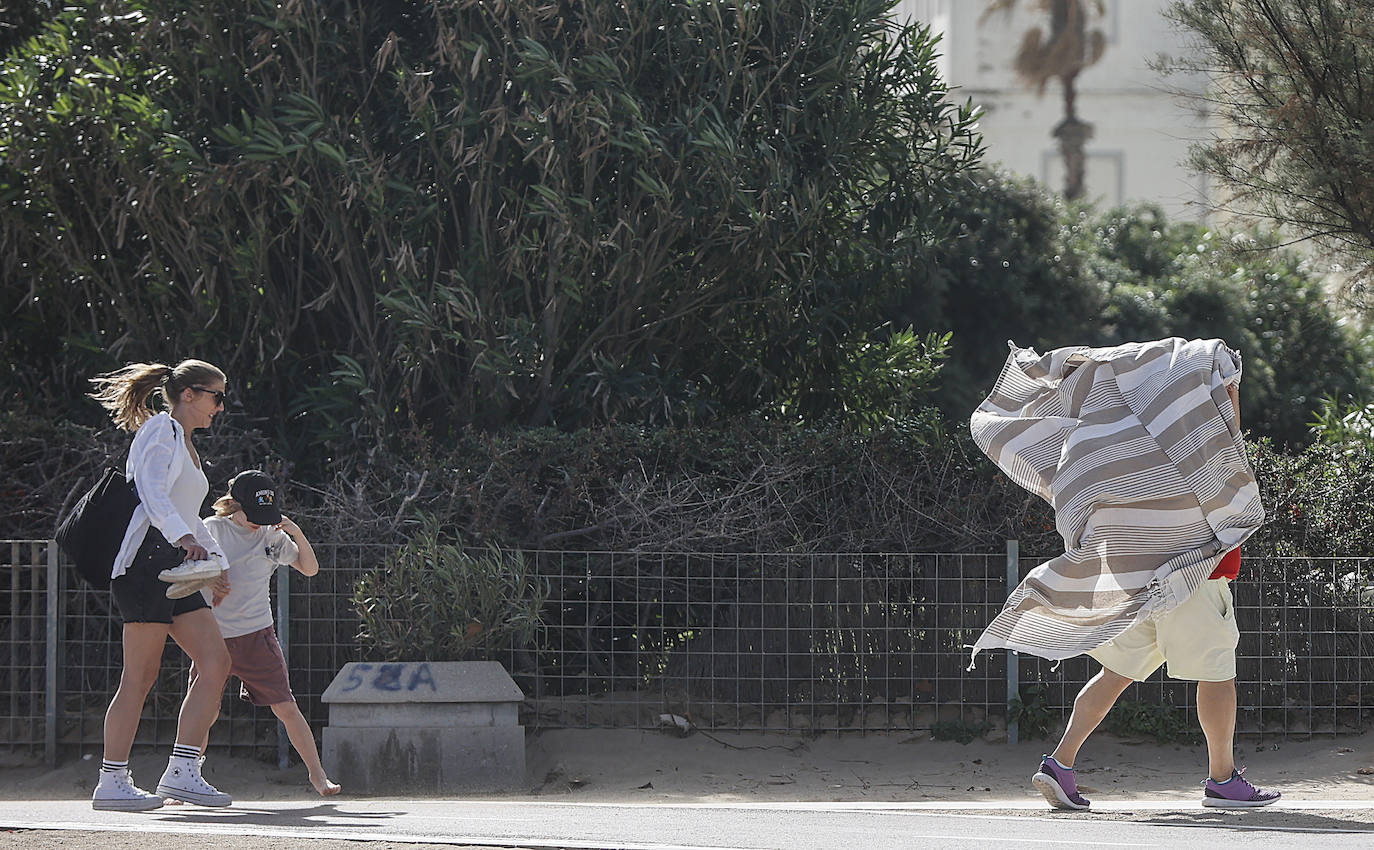 Temporal de viento en Valencia