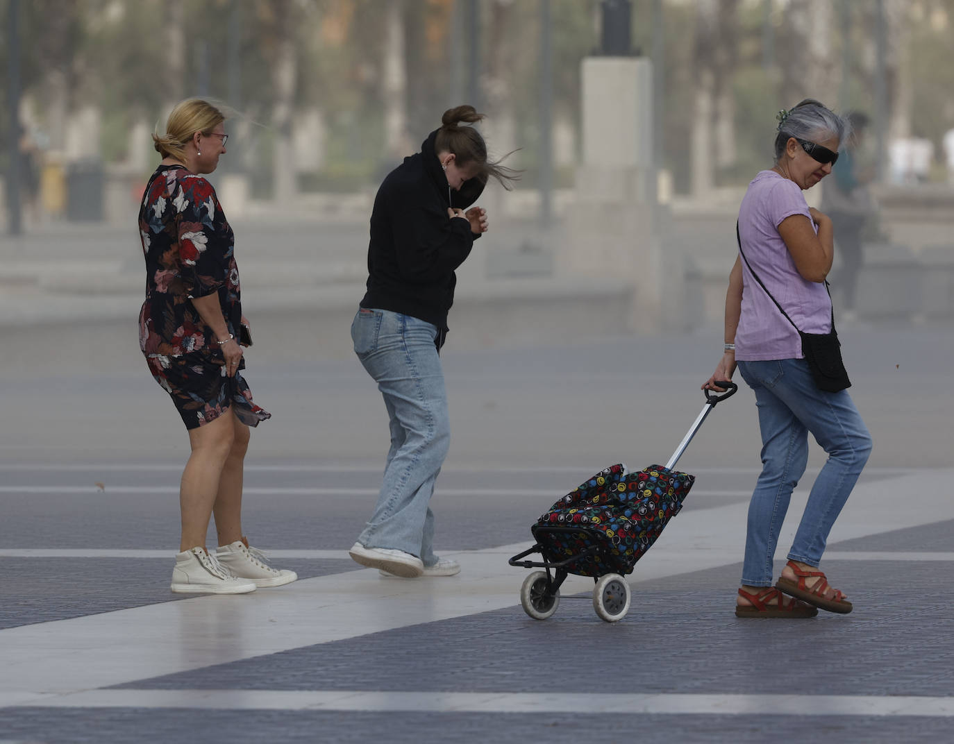 Temporal de viento en Valencia