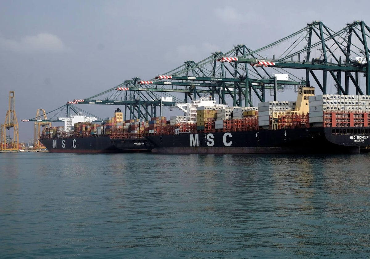 Dos portacontenedores en aguas del puerto de Valencia.