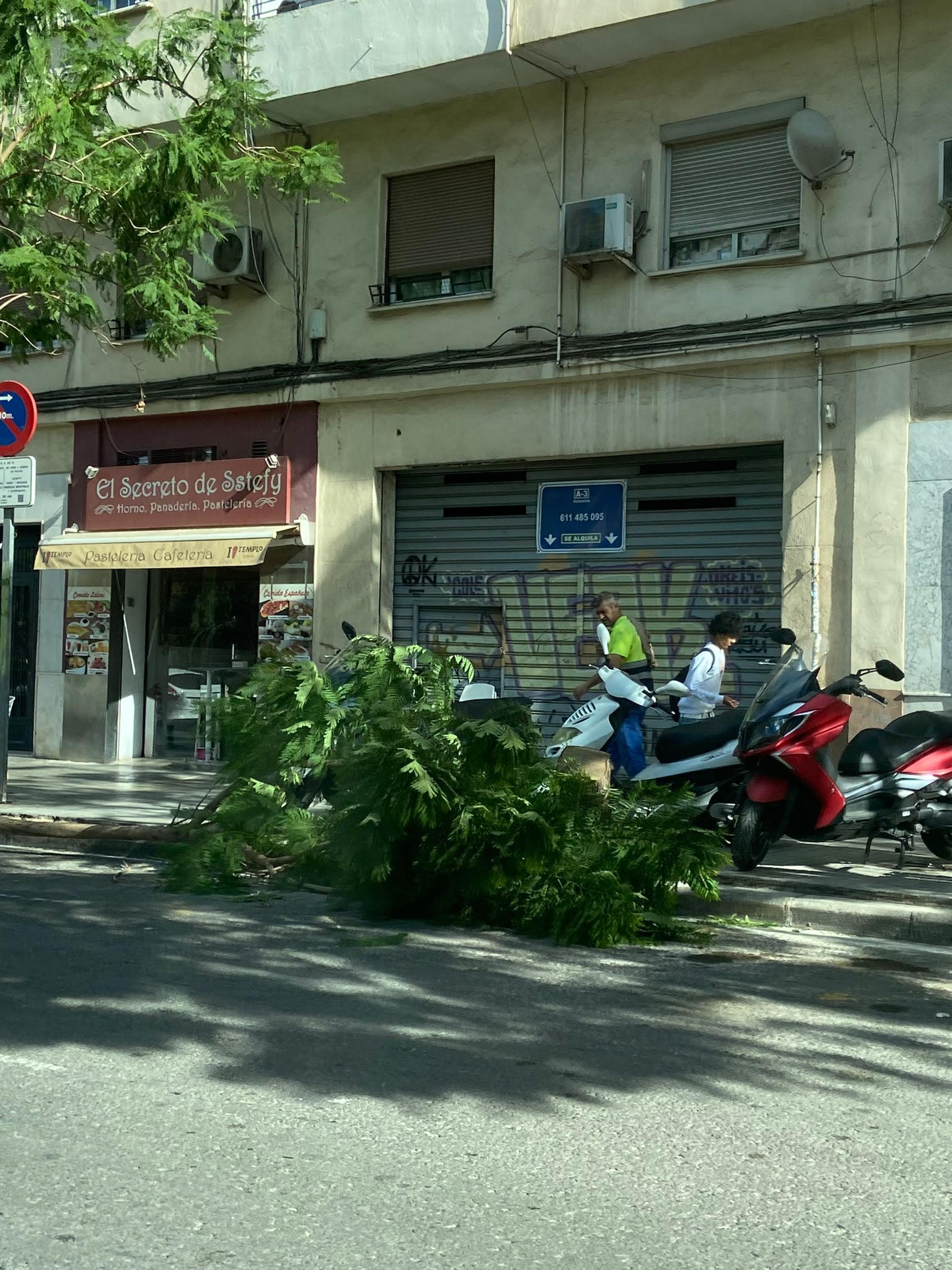 Temporal de viento en Valencia