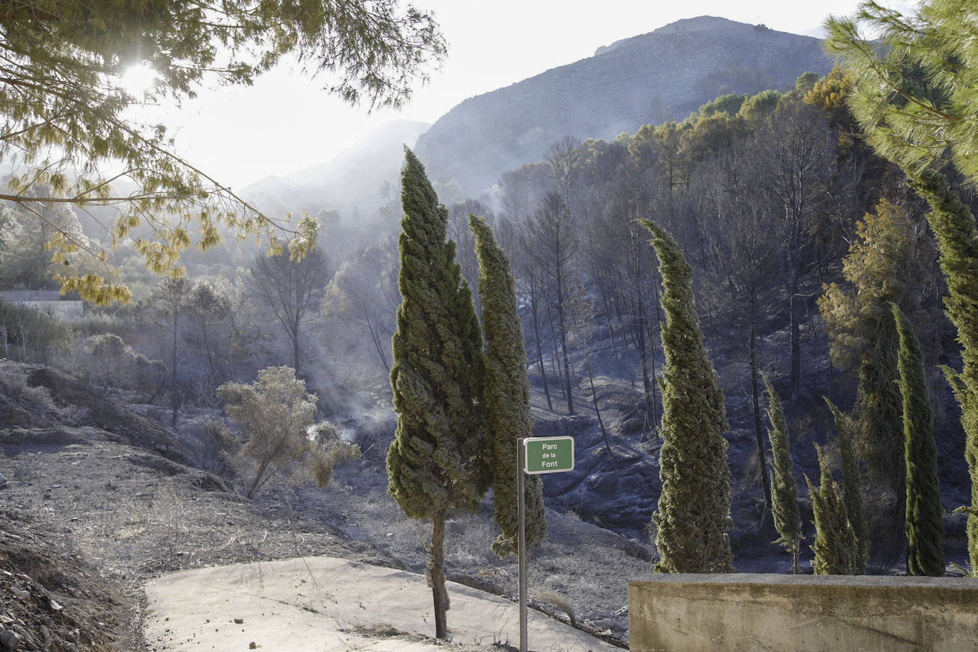 El incendio forestal de Montitxelvo, en imágenes