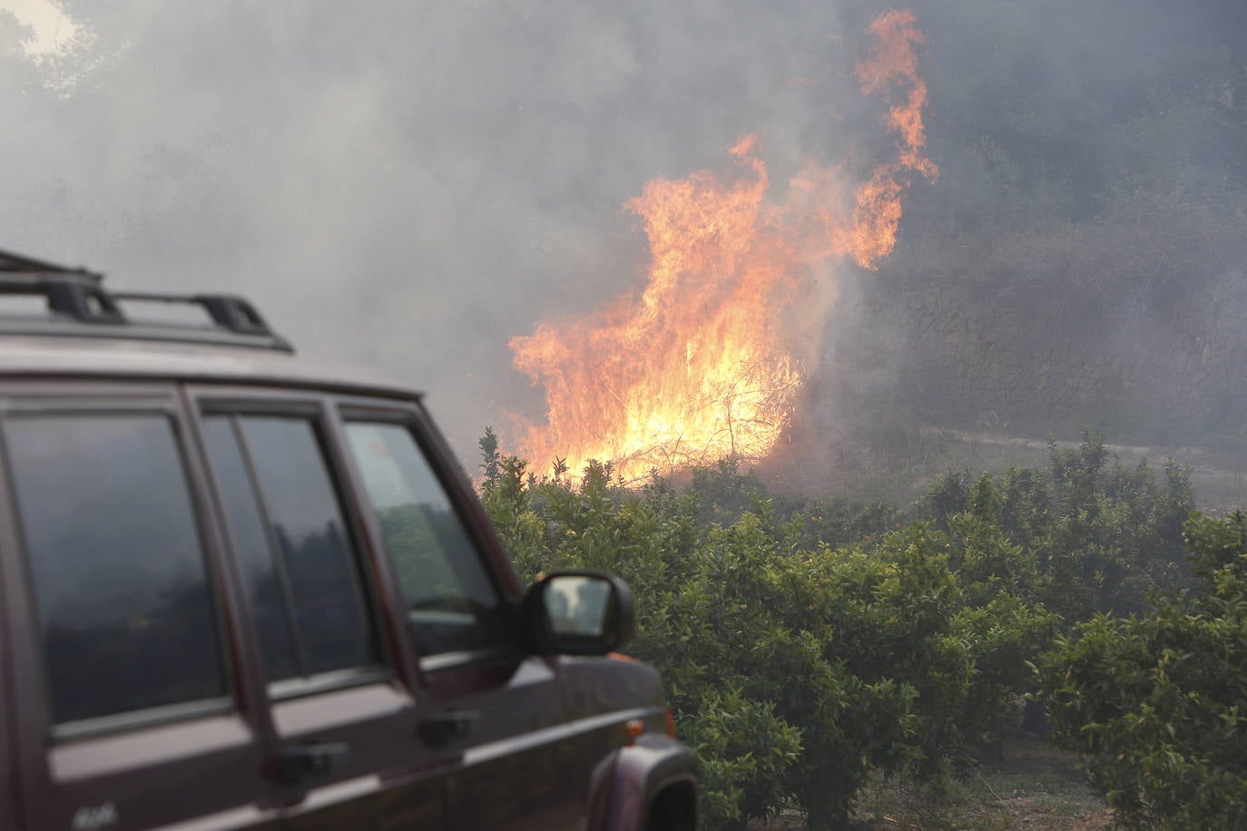 El incendio forestal de Montitxelvo, en imágenes