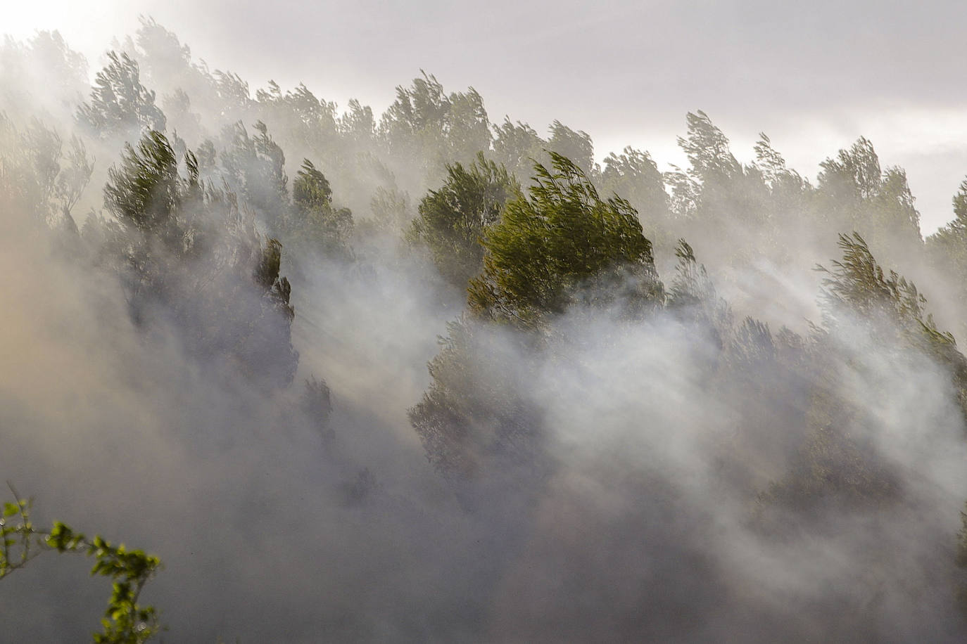 El incendio forestal de Montitxelvo, en imágenes