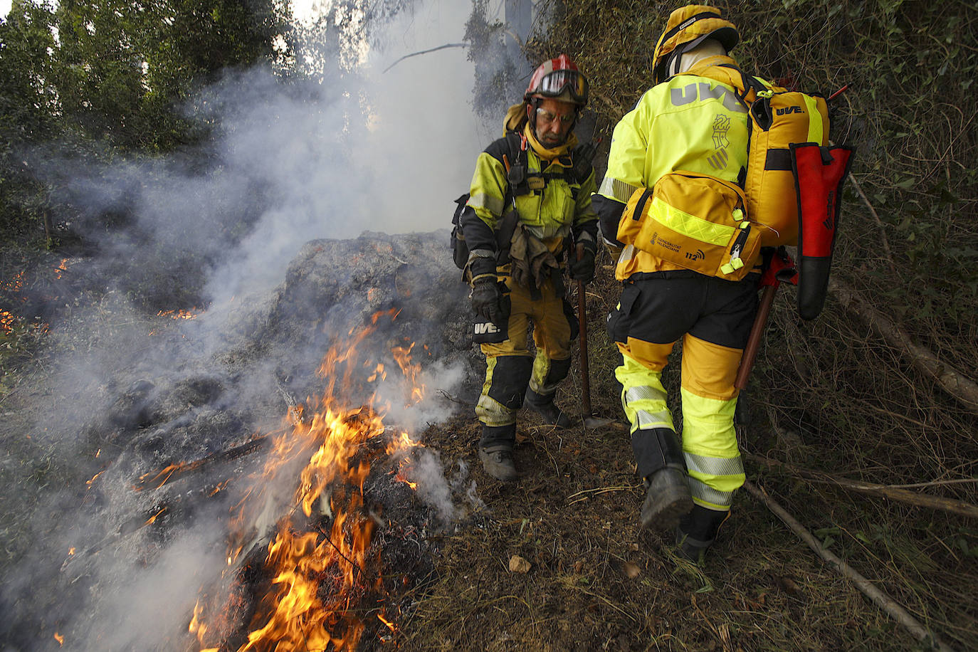 El incendio forestal de Montitxelvo, en imágenes