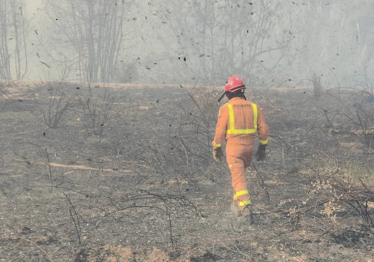 Un miembro del Consorcio de Bomberos camina sobre un tramo de monte arrasado por el fuego que comenzó en Montitxelvo.