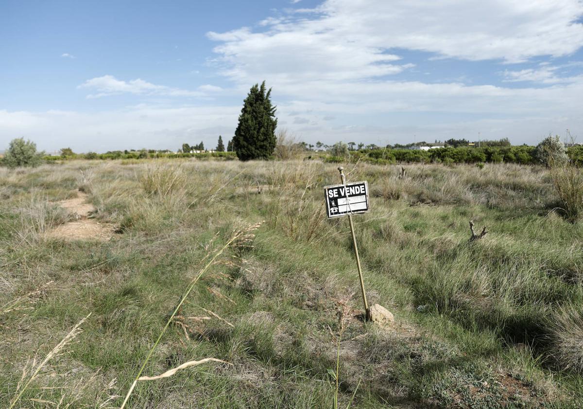 Imagen principal - Carteles de 'se vende' y deterioro en los campos de Valencia.