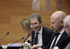 El vicepresidente y conseller de Cultura, Vicente Barrera, durante su comparecencia en Les Corts.