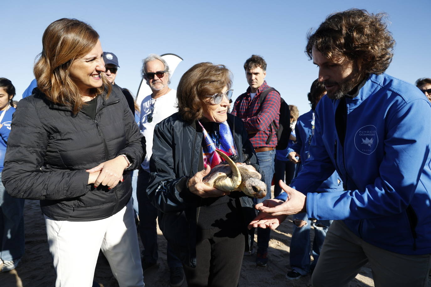 La tortuga marina recuperada en l&#039;Oceanogràfic vuelve al mar en el Saler