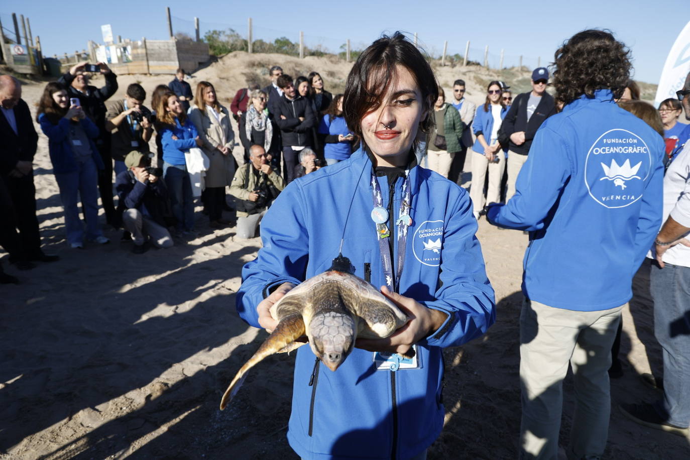 La tortuga marina recuperada en l&#039;Oceanogràfic vuelve al mar en el Saler