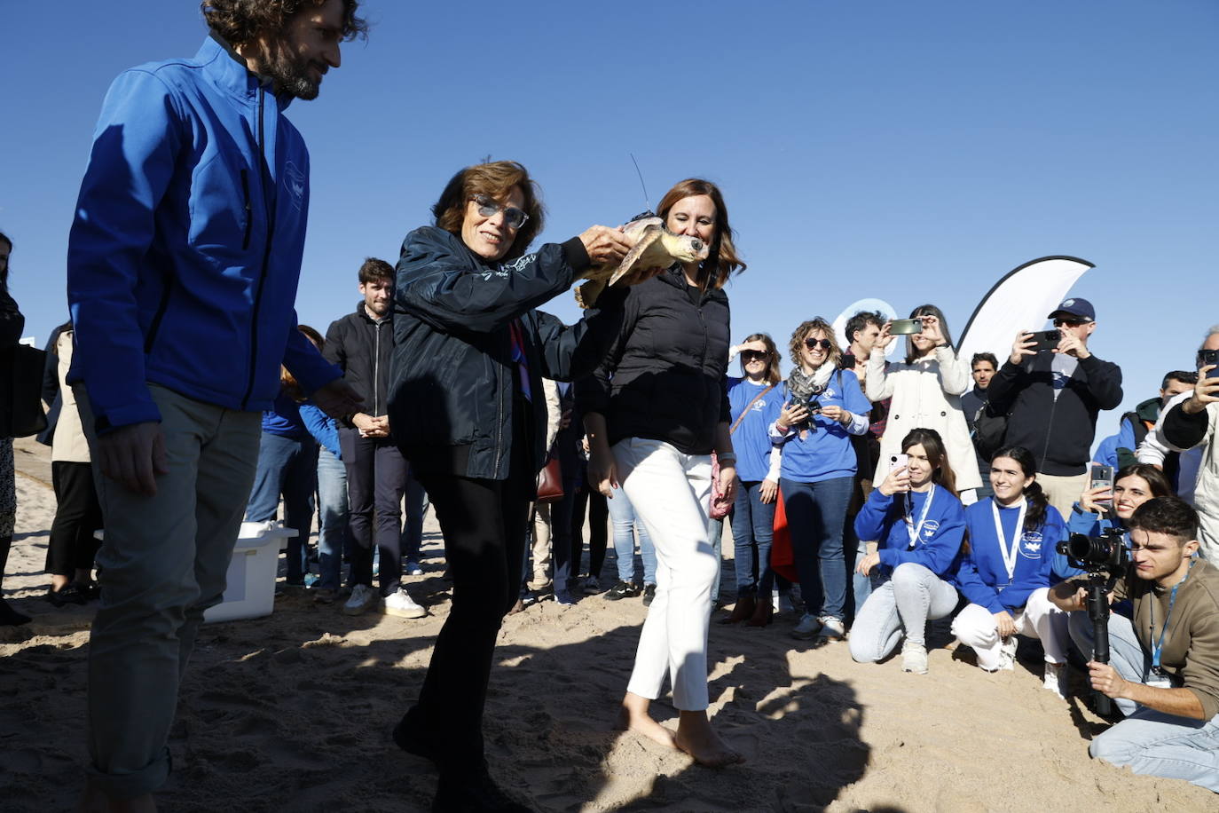 La tortuga marina recuperada en l&#039;Oceanogràfic vuelve al mar en el Saler