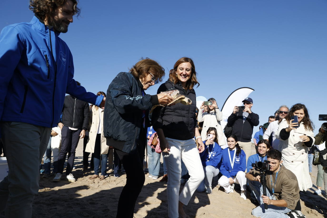 La tortuga marina recuperada en l&#039;Oceanogràfic vuelve al mar en el Saler