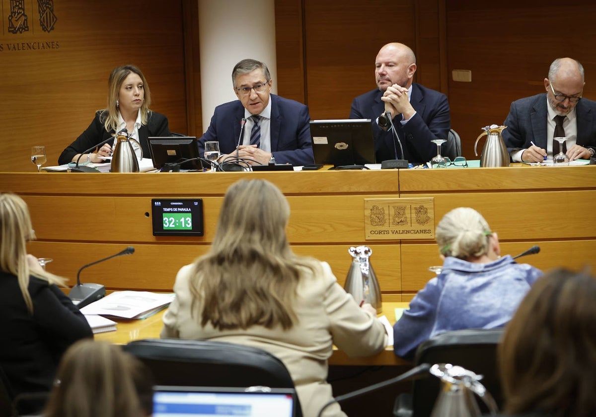 José Antonio Rovira, durante la presentación de los presupuestos en Les Corts.