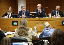 José Antonio Rovira, durante la presentación de los presupuestos en Les Corts.