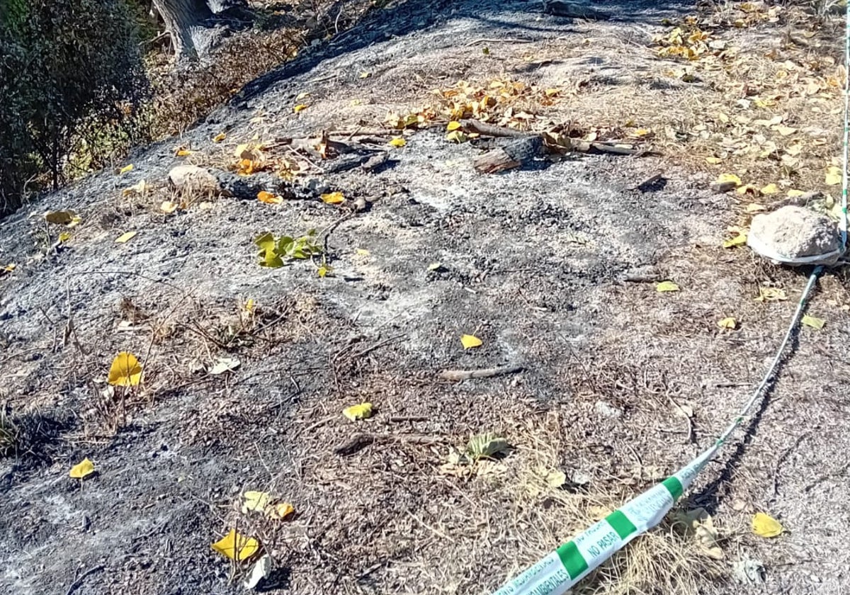 La Guardia Civil inspecciona una hoguera como el foco del incendio forestal de Montitxelvo