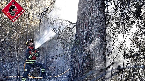 Extinguido el incendio forestal de El Ràfol d'Almúnia tras arrasar 50 hectáreas