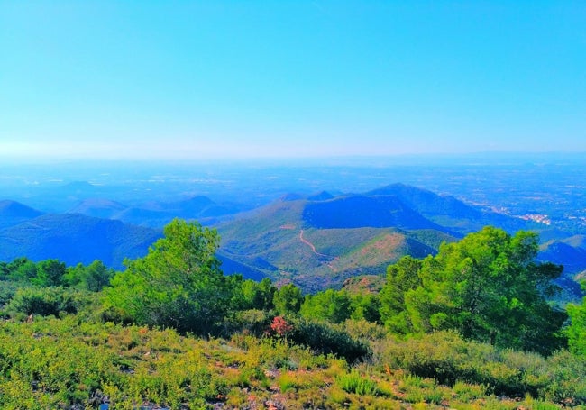 Vistas desde las antenas.