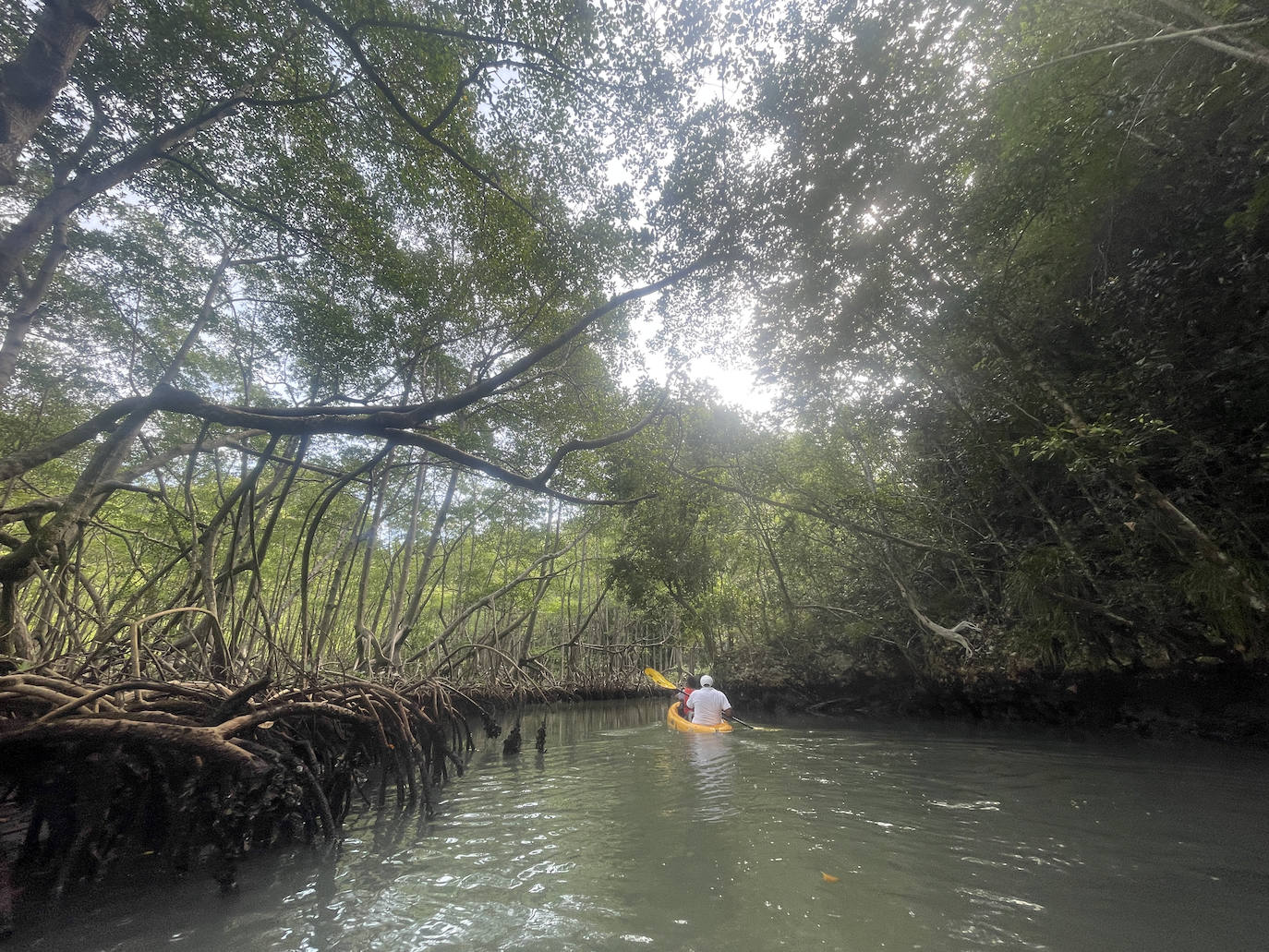 Un paraje natural en República Domincana.