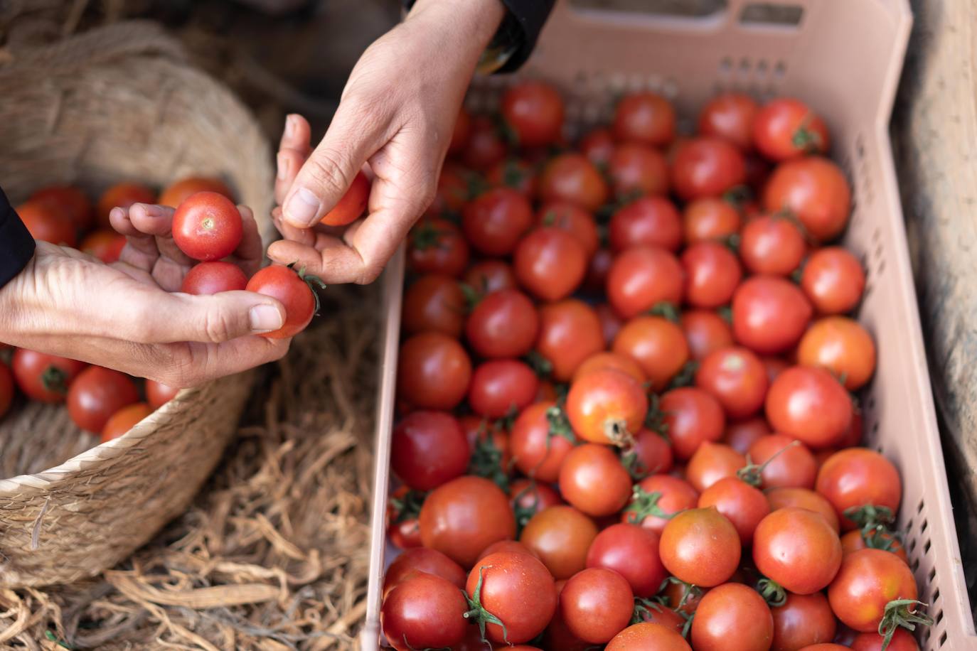 Lidl apuesta por tomates nacionales.